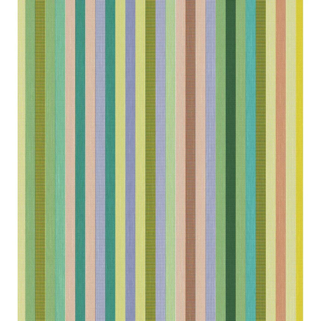 Chilienne en Eucalyptus - Pop vert – Image 2